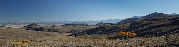 A little fall color, near Bodie CA